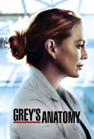 Grey's Anatomy: 109: Who's Zoomin' Who? (2005) Poster